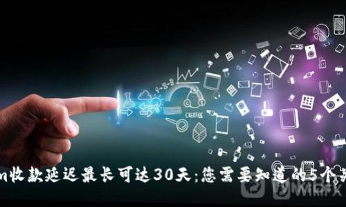 Tokenim收款延迟最长可达30天：您需要知道的5个关键因素