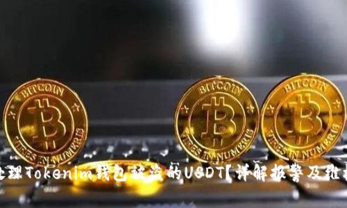 如何处理Tokenim钱包被盗的USDT？详解报警及维权步骤