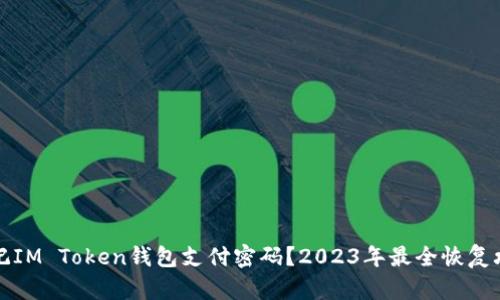 忘记IM Token钱包支付密码？2023年最全恢复攻略