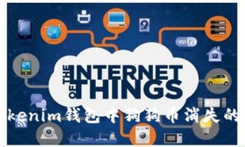 解决TokenTokenim钱包中狗狗币消失的5个实用步骤