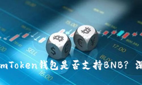 2023年最新指南：imToken钱包是否支持BNB? 深入分析与实用操作