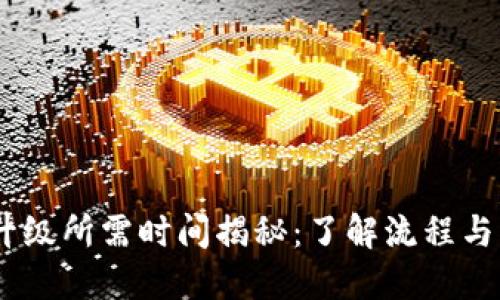 USDT钱包升级所需时间揭秘：了解流程与影响的一切