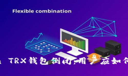 2023年ImToken TRX钱包倒闭：用户应如何应对与保护资产