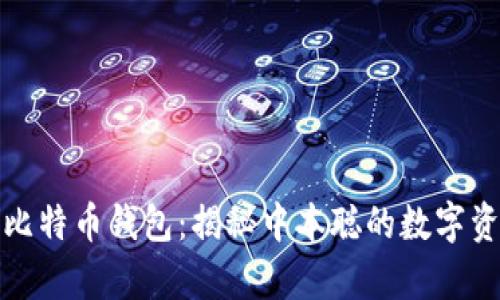 最初的比特币钱包：揭秘中本聪的数字资产宝库