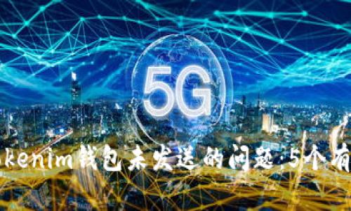 如何解决Tokenim钱包未发送的问题：5个有效步骤解析