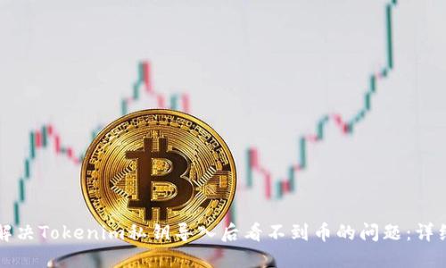 如何解决Tokenim私钥导入后看不到币的问题：详细指南