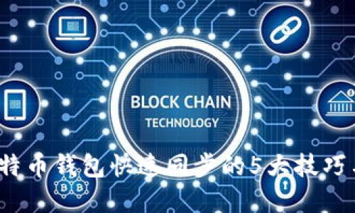 2023年比特币钱包快速同步的5大技巧与实用指南