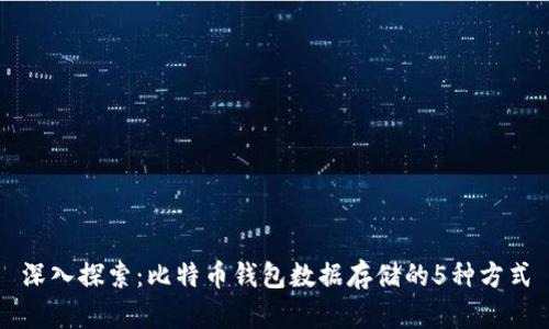 深入探索：比特币钱包数据存储的5种方式