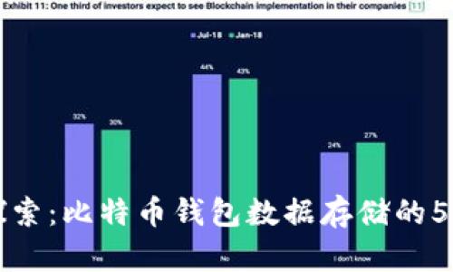 深入探索：比特币钱包数据存储的5种方式