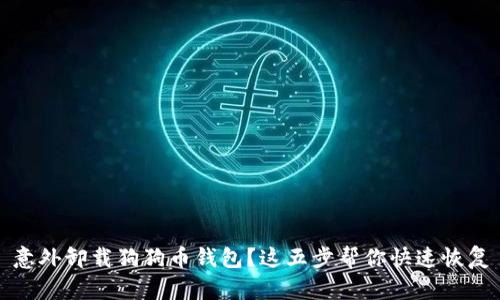 意外卸载狗狗币钱包？这五步帮你快速恢复