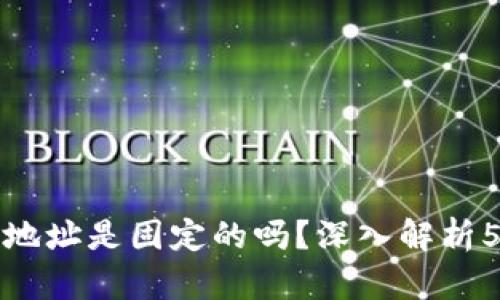 泰达币钱包地址是固定的吗？深入解析5大关键因素