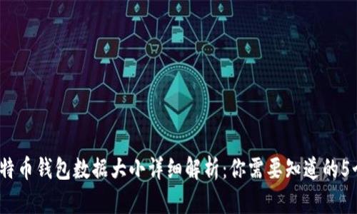 2023年比特币钱包数据大小详细解析：你需要知道的5个关键数字