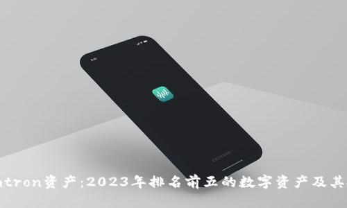 了解Tokenimtron资产：2023年排名前五的数字资产及其投资前景分析