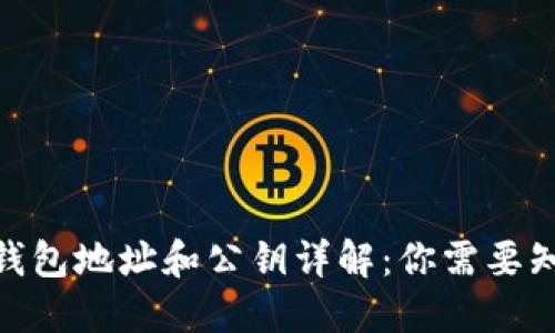 2023年比特币钱包地址和公钥详解：你需要知道的5个关键点
