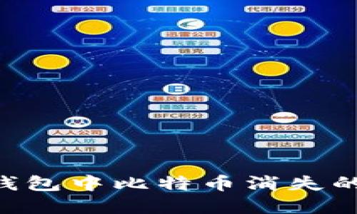 如何解决Tokenim钱包中比特币消失的问题？5个实用方法