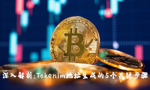 深入解析：Tokenim地址生成的5个关键步骤