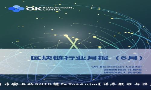 如何将币安上的SHIB转入Tokenim？详尽教程与注意事项