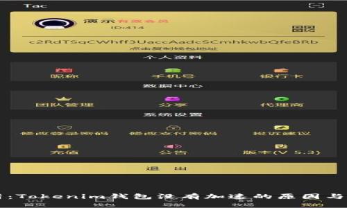 深入解析：Tokenim钱包没有加速的原因与解决方法