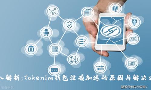 深入解析：Tokenim钱包没有加速的原因与解决方法