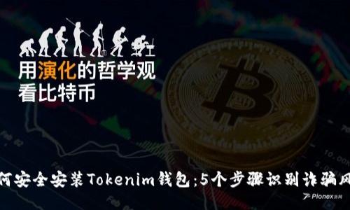 如何安全安装Tokenim钱包：5个步骤识别诈骗风险