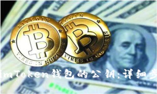 如何查看imToken钱包的公钥：详细步骤与解析