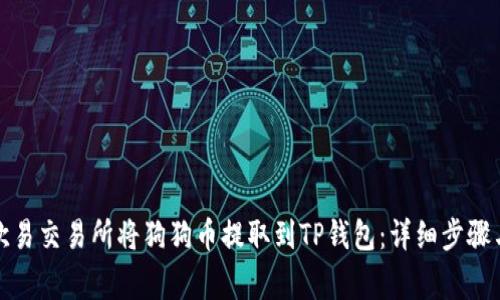 如何通过欧易交易所将狗狗币提取到TP钱包：详细步骤与注意事项