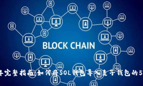 2023年完整指南：如何将SOL钱包导入麦子钱包的5大步骤