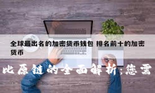 2023年ImToken支持比原链的全面解析：您需要了解的5个重要事项