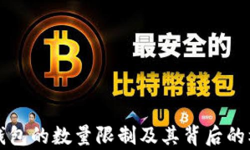 
比特币钱包的数量限制及其背后的机制解析