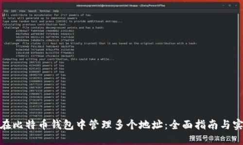 : 如何在比特币钱包中管理多个地址：全面指南与实用技巧