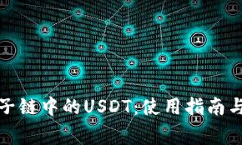 解析Imtoken子链中的USDT：使用指南与常见问题解答