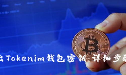 如何安全导出Tokenim钱包密钥：详细步骤与注意事项