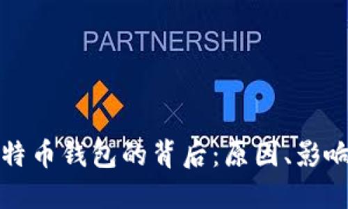 美国封堵比特币钱包的背后：原因、影响与应对策略