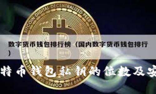 biatuo比特币钱包私钥的位数及安全性详解