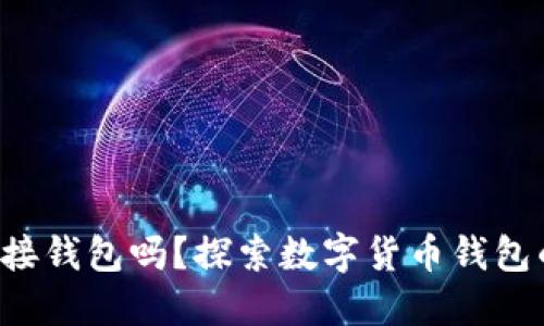 :USDT可以直接钱包吗？探索数字货币钱包的使用与安全