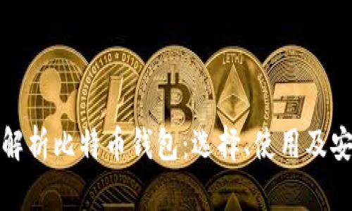全面解析比特币钱包：选择、使用及安全性