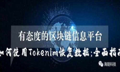 如何使用Tokenim恢复数据：全面指南