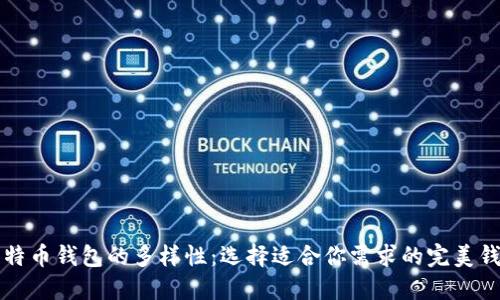 比特币钱包的多样性：选择适合你需求的完美钱包