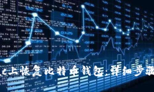 : 如何在Mac上恢复比特币钱包：详细步骤与解决方案