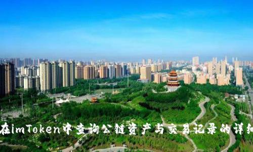 如何在imToken中查询公链资产与交易记录的详细指南