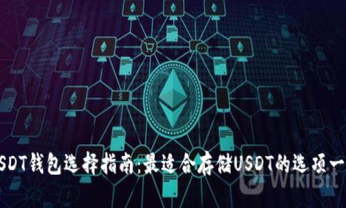 USDT钱包选择指南：最适合存储USDT的选项一览