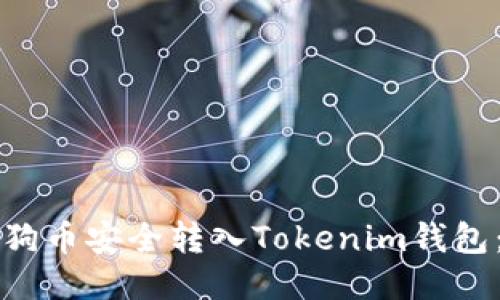 如何将狗狗币安全转入Tokenim钱包：详细指南