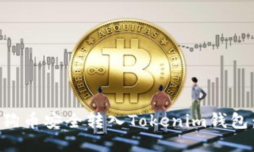 如何将狗狗币安全转入Tokenim钱包：详细指南