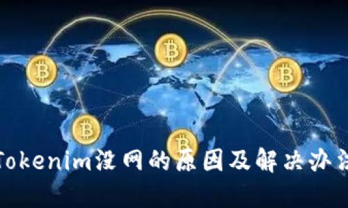 Tokenim没网的原因及解决办法