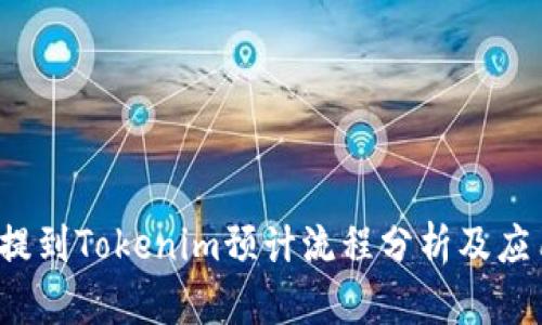 FIL币提到Tokenim预计流程分析及应用前景