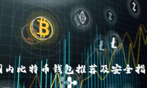 国内比特币钱包推荐及安全指南