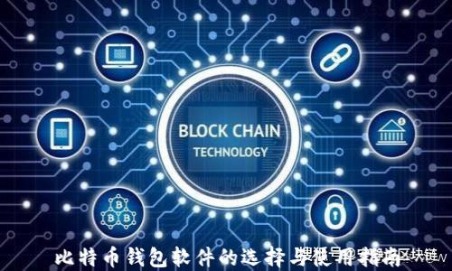 
比特币钱包软件的选择与使用指南