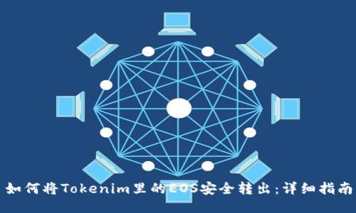 如何将Tokenim里的EOS安全转出：详细指南