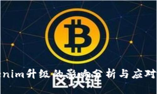 Tokenim升级的影响分析与应对策略