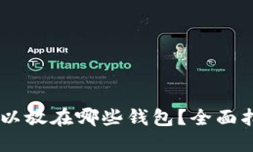 SHIB币可以放在哪些钱包？全面指南与推荐